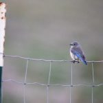 畅享无广告真不卡影院免费观看,尽情观影无忧 01xnuaq