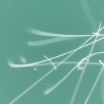 畅享无阻访问:如何轻松解锁 Cornhub 网站 32ium