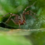 畅享新视觉影视院:免费观看最新热门影片 82qjw7p0ec