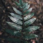 畅享快手极速版在线观看,精彩内容随时随地 c132yglpb5