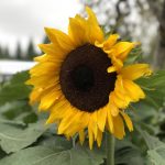 畅享影视大全:在线观看免费观看热门电视剧 wnnkkl